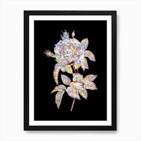 Stained Glass Pink French Rose Mosaic Botanical Illustration on Black n.0127 Art Print