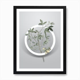 Vintage Stinking Bean Trefoil Minimalist Botanical Geometric Circle on Soft Gray Art Print