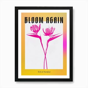 Hot Pink Bird Of Paradise 2 Poster Art Print