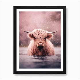 Pink Photography Style Of Highland Cow In The Rain 1 Art Print