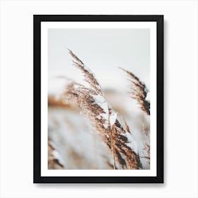 Snowy Wheat Field Art Print