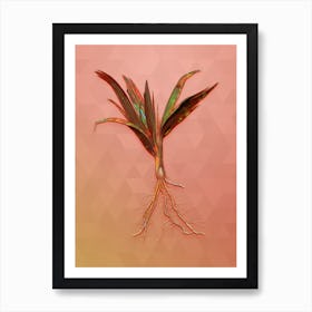 Vintage Date Palm Tree Botanical Art on Peach Pink n.0574 Art Print