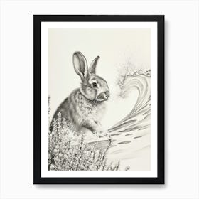 Holland Lop Rabbit Drawing 4 Art Print