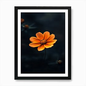 Single Orange Flower 8 Art Print