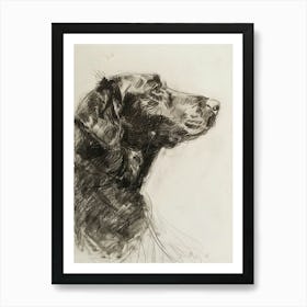 Curly Coated Retriever Dog Charcoal Line 2 Poster