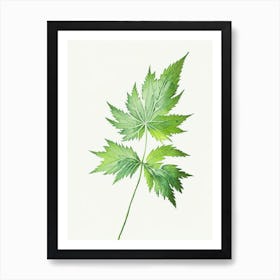 Nettle Leaf Minimalist Watercolour 1 Art Print