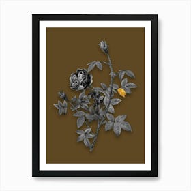 Vintage Moss Rose Black and White Gold Leaf Floral Art on Coffee Brown n.0976 Art Print