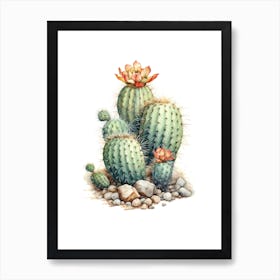 Woolly Torch Cactus Watercolour Drawing 2 Art Print