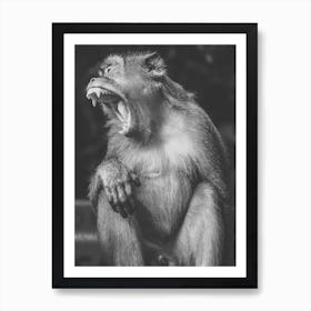 Kuala Lumpur Batu Caves Ape 4 Art Print