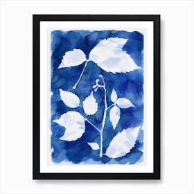Cyanotype Botanical 1 Art Print