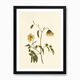 Yellow Flower Art Print