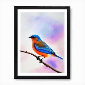 Eastern Bluebird 2 Watercolour Bird Art Print