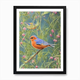 Eastern Bluebird Haeckel Style Vintage Illustration Bird Art Print