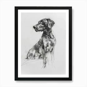 Hound Dog Charcoal Line 1 Art Print