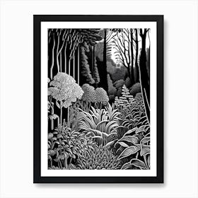 Royal Botanical Gardens, Burlington, Canada Linocut Black And White Vintage Art Print