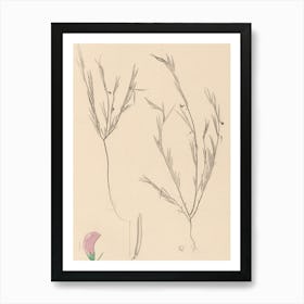 Flora Of California Art Print