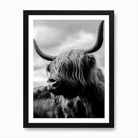 Scottish Highland Cattle Black And White Art Print
