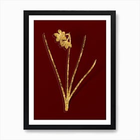 Vintage Narcissus Odorus Botanical in Gold on Red n.0429 Art Print