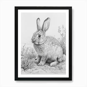 American Fuzzy Rabbit Drawing 3 Art Print