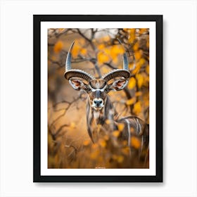 Antelope 1 Art Print