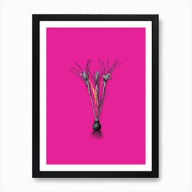 Vintage Cloth of Gold Crocus Black and White Gold Leaf Floral Art on Hot Pink n.0125 Art Print