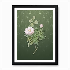 Vintage Ventenat's Rose Botanical on Lunar Green Pattern n.1040 Art Print