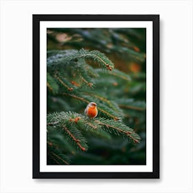 Robin In The Trees Art Print