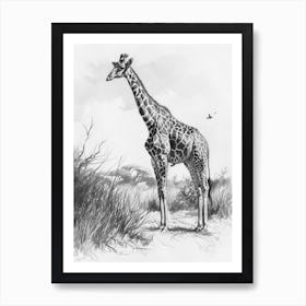 Pencil Portrait Of A Giraffe Standing 1 Art Print