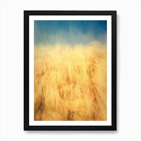 Sand Dune Grass & Blue Sky 1 Art Print