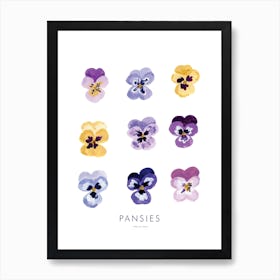 Pansies Art Print