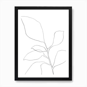 6 Leaf Plant Art Print
