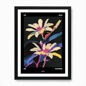 No Rain No Flowers Poster Cineraria 2 Art Print