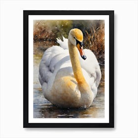 Gold Whooper Swan Art Print