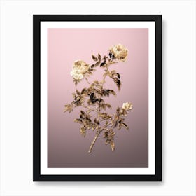 Gold Botanical Rose of the Hedges on Rose Quartz n.1080 Art Print