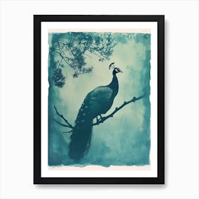 Vintage Blue Tones Peacock Photograph Inspired 2 Art Print