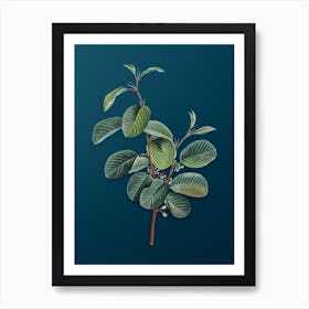 Vintage Alpine Buckthorn Plant Botanical Art on Teal Blue n.0730 Art Print