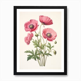 Anemones Flower Vintage Botanical 3 Art Print