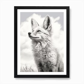Bengal Fox Portrait Pencil Drawing 3 Art Print