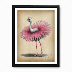 Ostrich With Pink Feathers Art Print