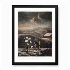 The Snowdrops From The Temple Of Flora (1807), Robert John Thornton Art Print