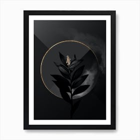 Shadowy Vintage Smilacina Stellata Botanical on Black with Gold n.0149 Art Print
