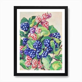 Mulberry 1 Vintage Sketch Fruit Art Print