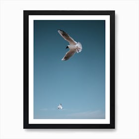 Sea Gulls Art Print