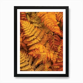 Pattern Poster Autumn Fern 3 Art Print