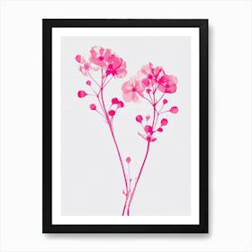 Hot Pink Gypsophila Art Print