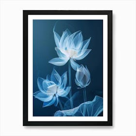 Lotus Flower 11 Art Print