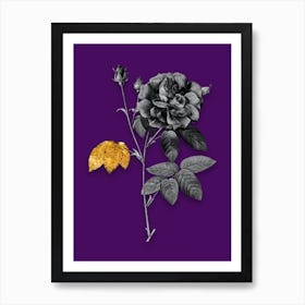 Vintage French Rose Black and White Gold Leaf Floral Art on Deep Violet n.1140 Art Print