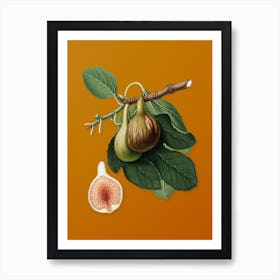 Vintage Fig Botanical on Sunset Orange n.0906 Art Print