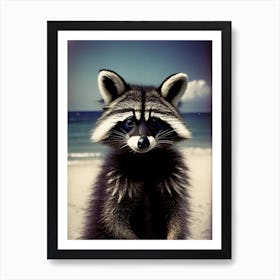 Raccoon On Beach Art Print