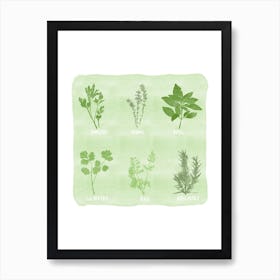 Garden Herbs Art Print